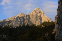P1130008
