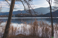 LEP01112023-101