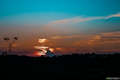 20230709-_LEP7678