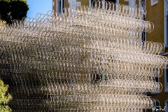 ELF_4507